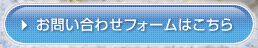 塩のことなら食塩・岩塩の卸・販売ジャパン・シーズニングにお問合せください